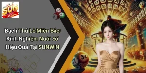 Bạch Thủ Lô Miền Bắc: Kinh Nghiệm Nuôi Số Hiệu Quả Tại SUNWIN